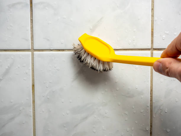 Best Preventive Mold Services in Port Wentworth, GA