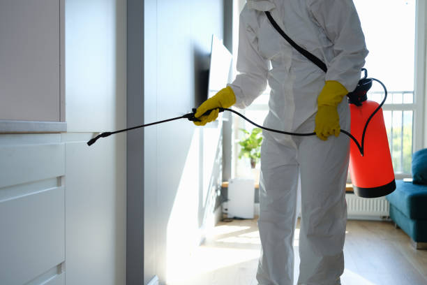 Best Post-Remediation Services in Port Wentworth, GA