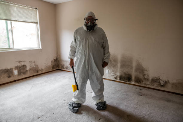 Best Attic Mold Remediation in Port Wentworth, GA